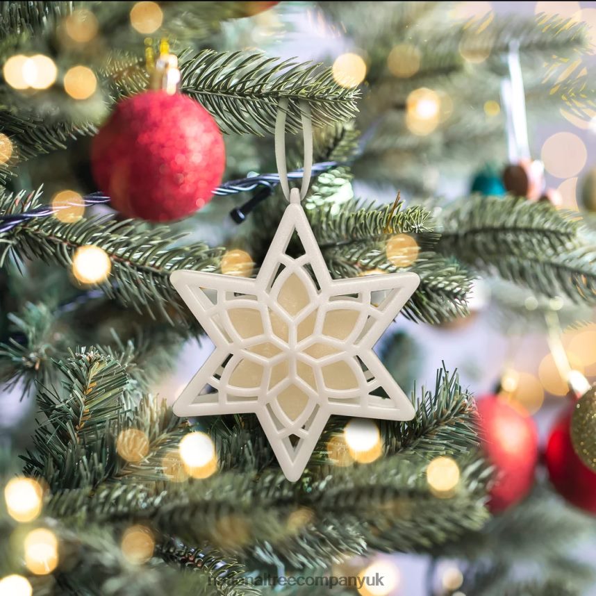 decoration | National Tree Company Scentsicles Scented Star Ornament White Winter Fir 2-Pack F2L4F543